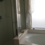 Garden Tub and seperate shower