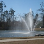 Community Lakes with miles of walking trails