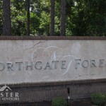 Northgate Forest