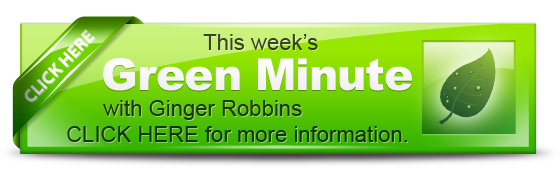 Green Minute with Ginger Robbins